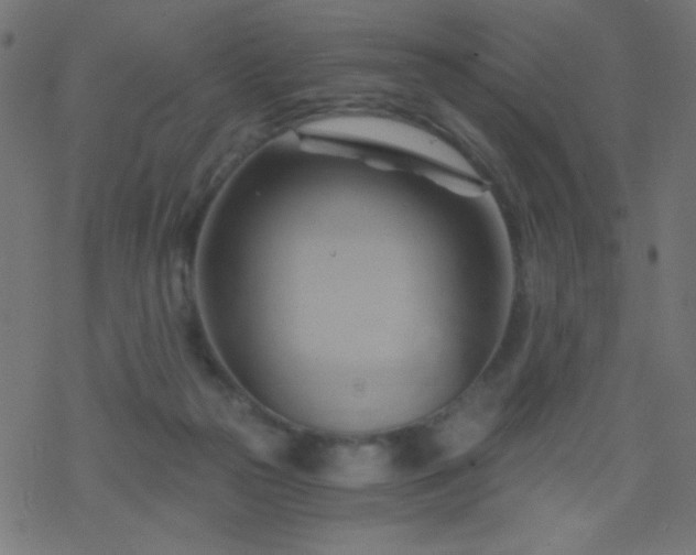 X0000068860169200605121926