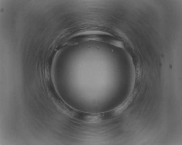 X0000068860170200605121926