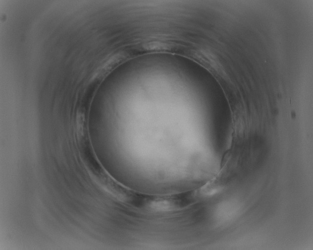 X0000068860171200605121926