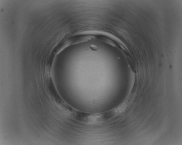 X0000068860172200605121926