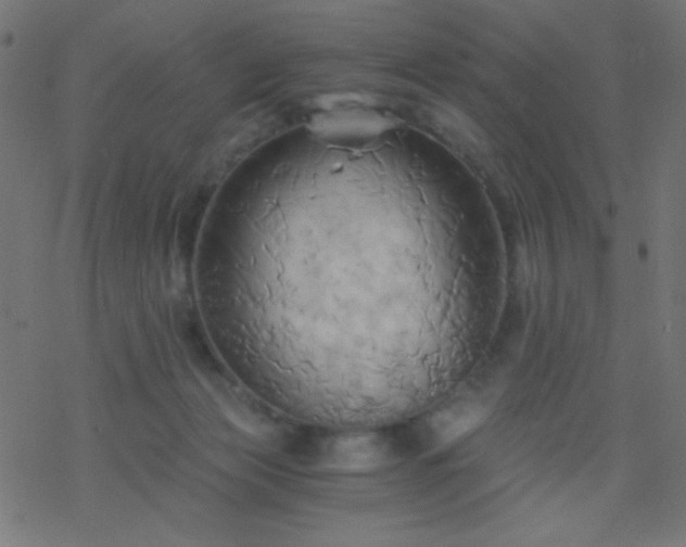 X0000068860173200605121926