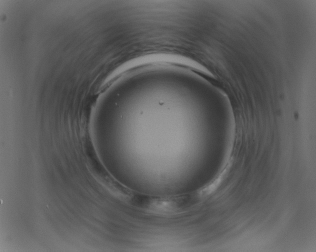 X0000068860174200605121926