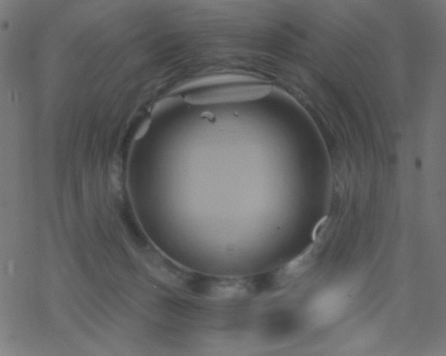 X0000068860175200605121926