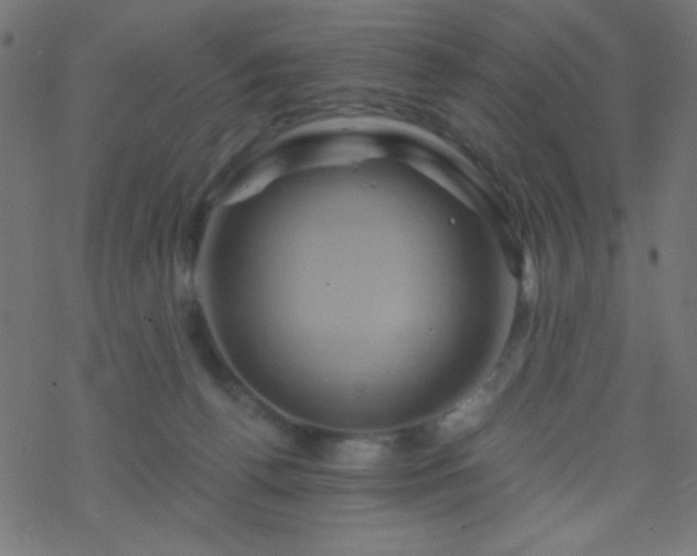 X0000068860176200605121926