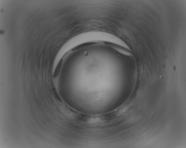 X0000068860177200605121926