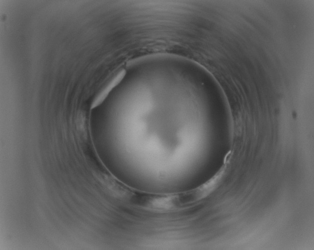 X0000068860178200605121926