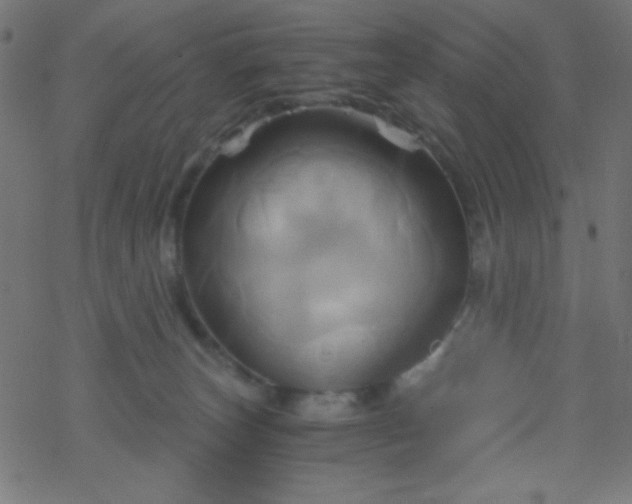 X0000068860179200605121926