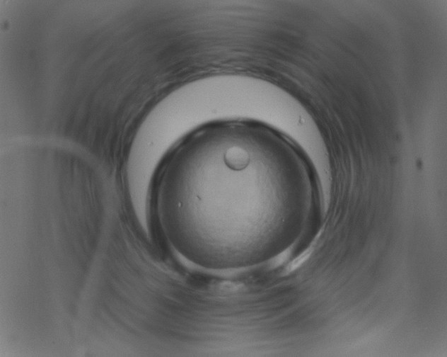 X0000068860180200605121926