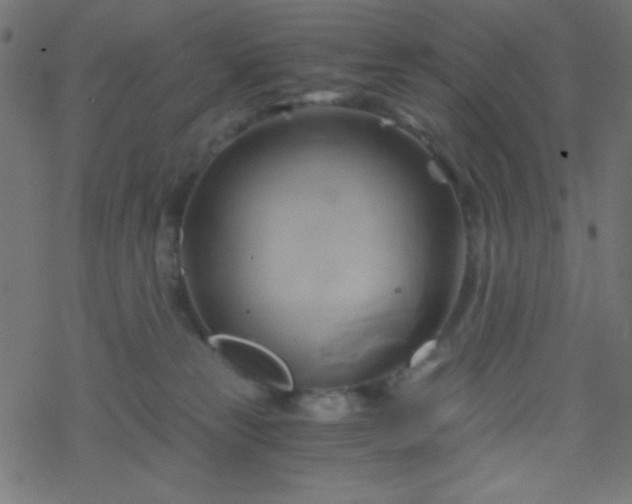 X0000068860181200605121926