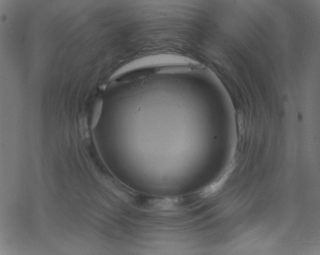 X0000068860182200605121926