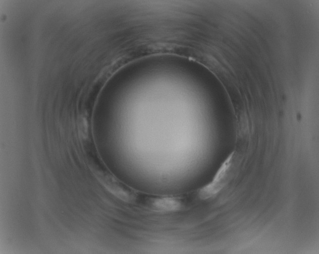 X0000068860183200605121926