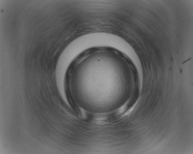 X0000068860184200605121926