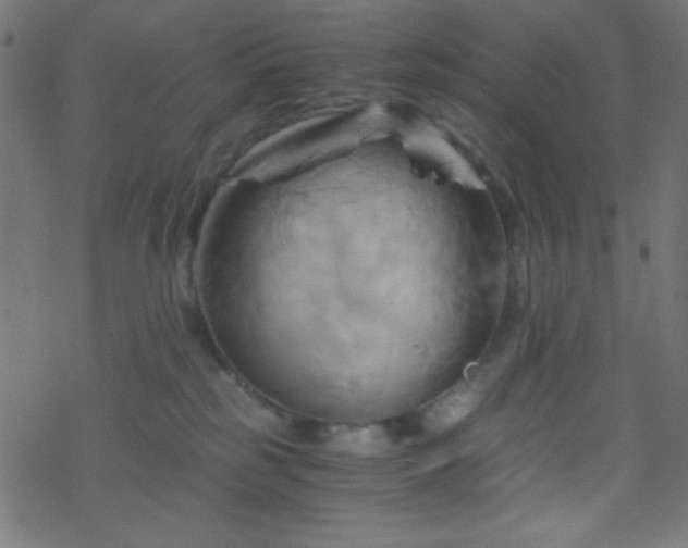 X0000068860185200605121926