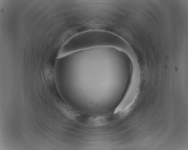 X0000068860186200605121926