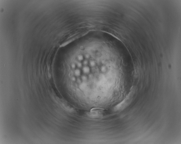 X0000068860187200605121926