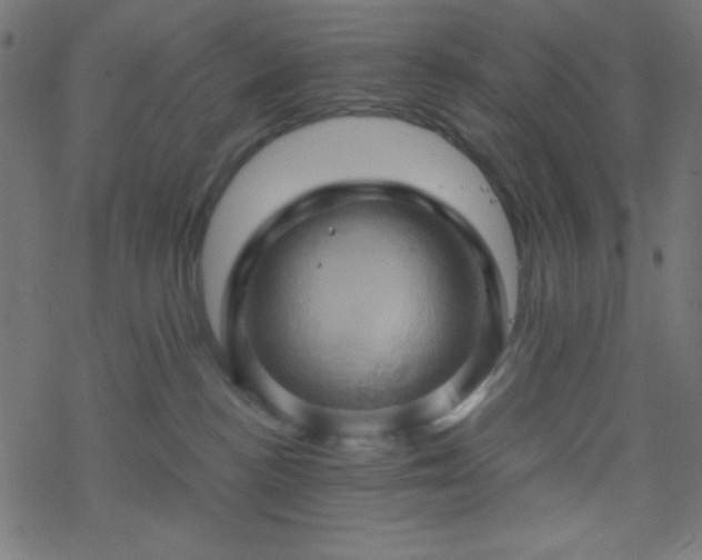 X0000068860188200605121926