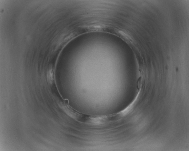 X0000068860190200605121926