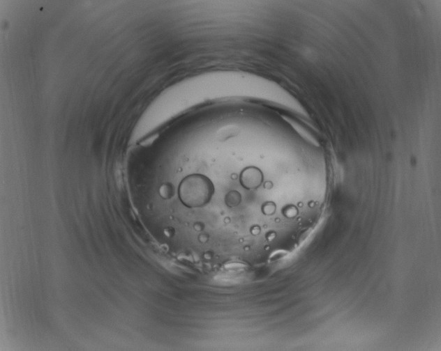 X0000068860191200605121926