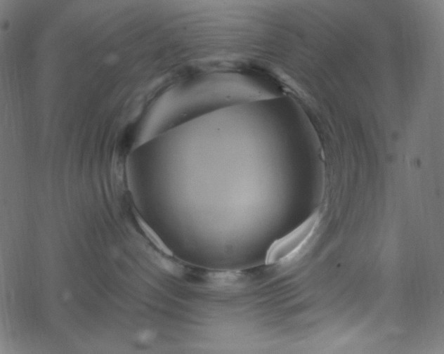 X0000068860192200605121926