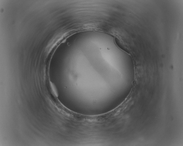 X0000068860194200605121926