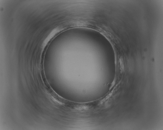 X0000068860195200605121926