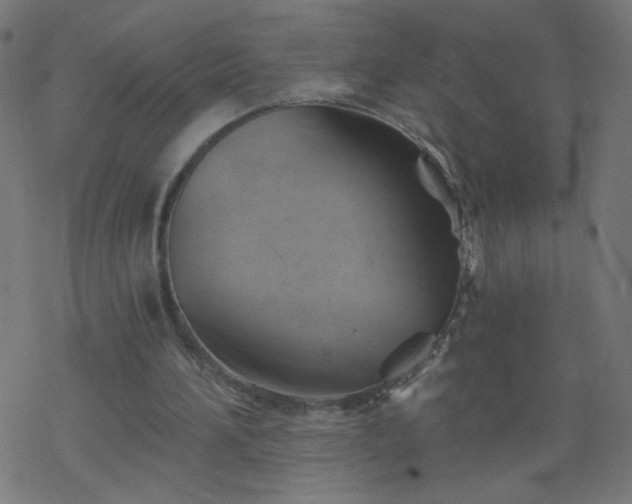 X0000068860196200605121926