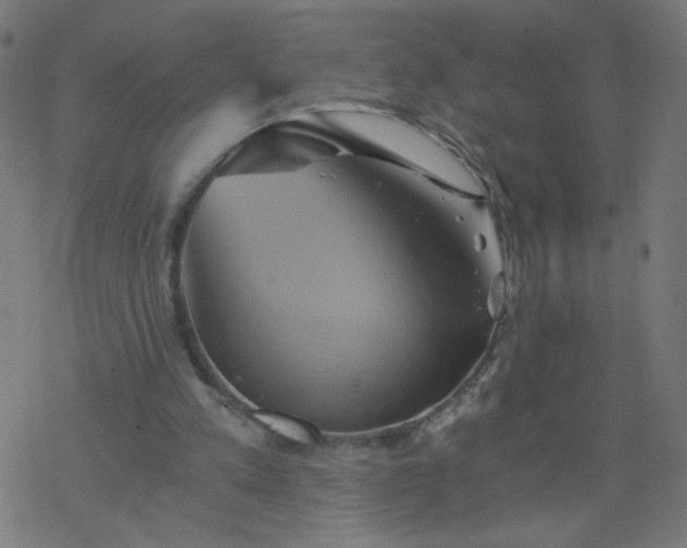 X0000068860197200605121926