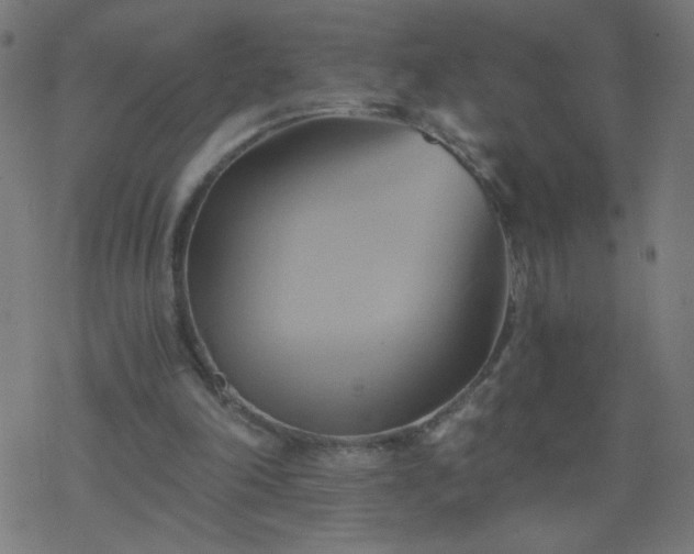 X0000068860198200605121926