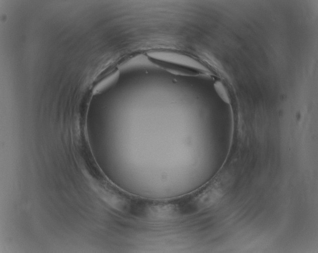 X0000068860202200605121925