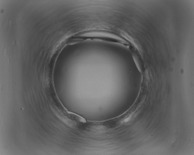 X0000068860203200605121925