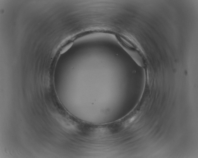 X0000068860204200605121925