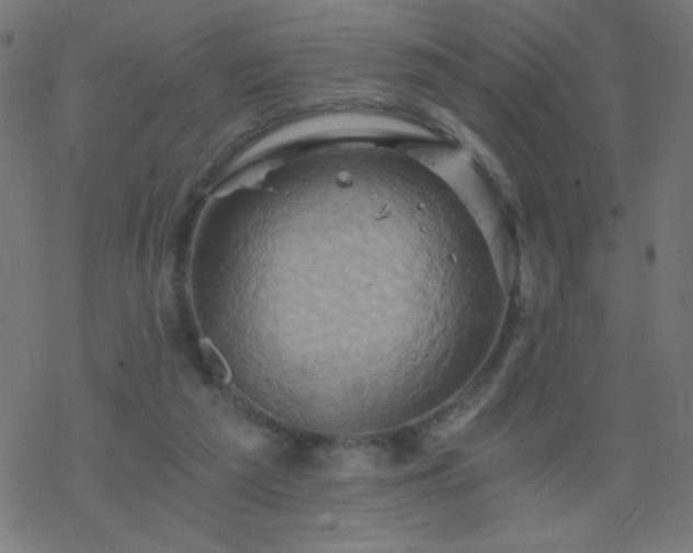 X0000068860209200605121925