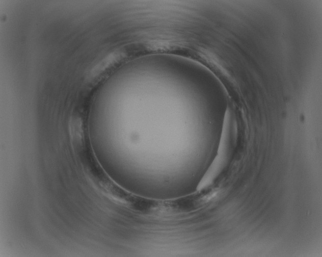 X0000068860211200605121925