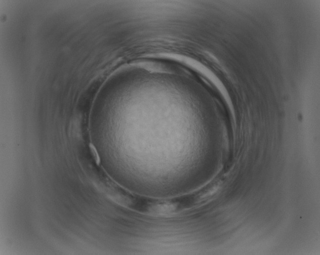 X0000068860217200605121925