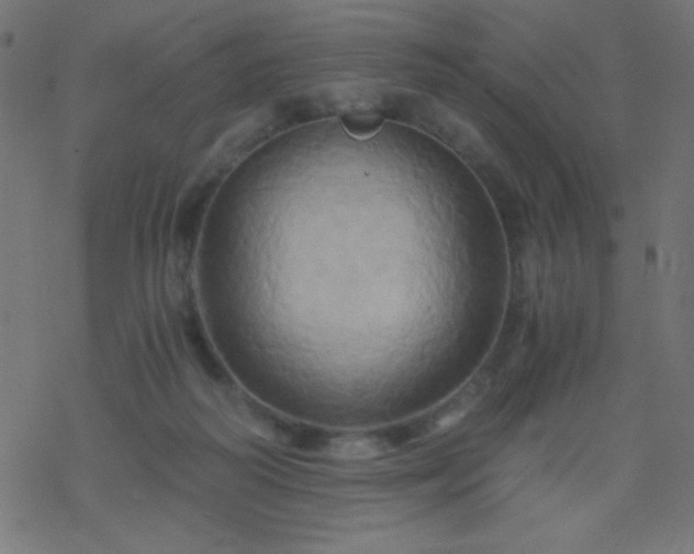 X0000068860218200605121925