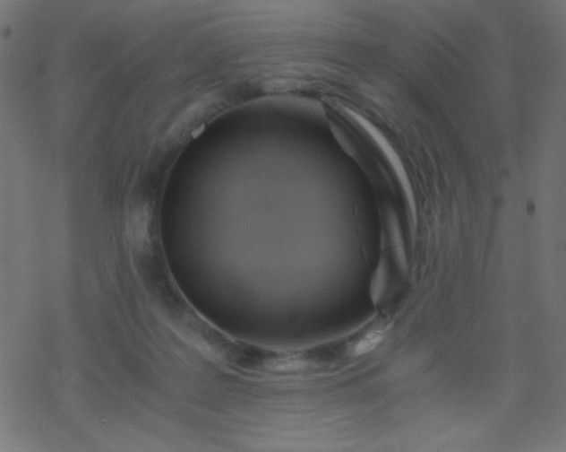 X0000068860219200605121925