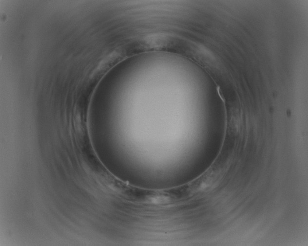 X0000068860220200605121925