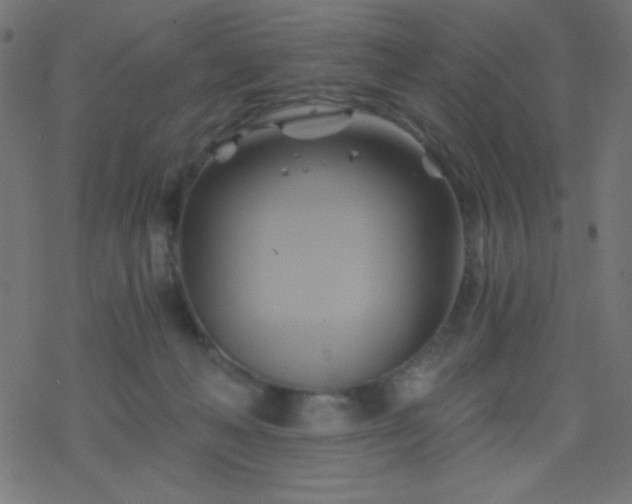 X0000068860222200605121925