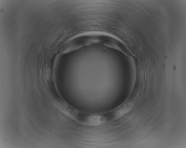 X0000068860227200605121925
