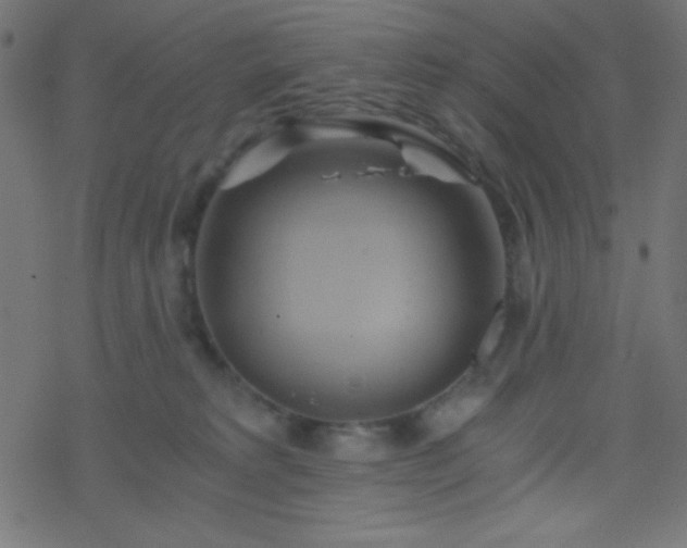 X0000068860229200605121925