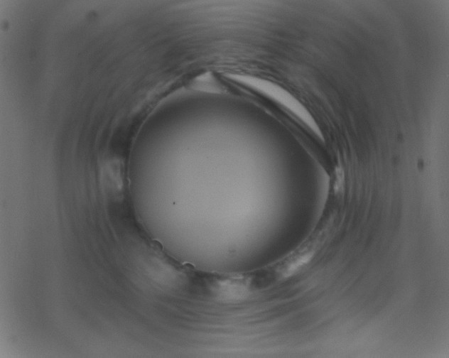 X0000068860232200605121925