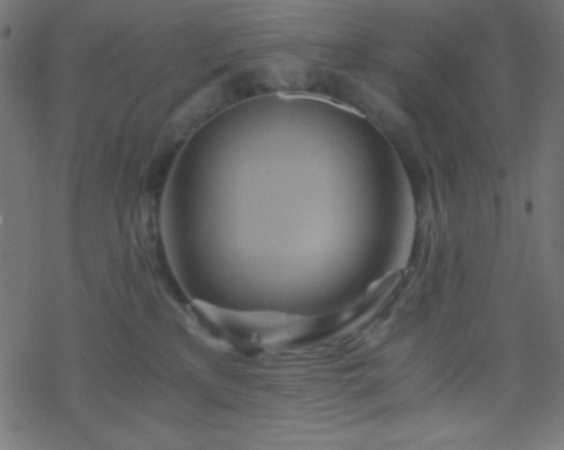 X0000068860233200605121925