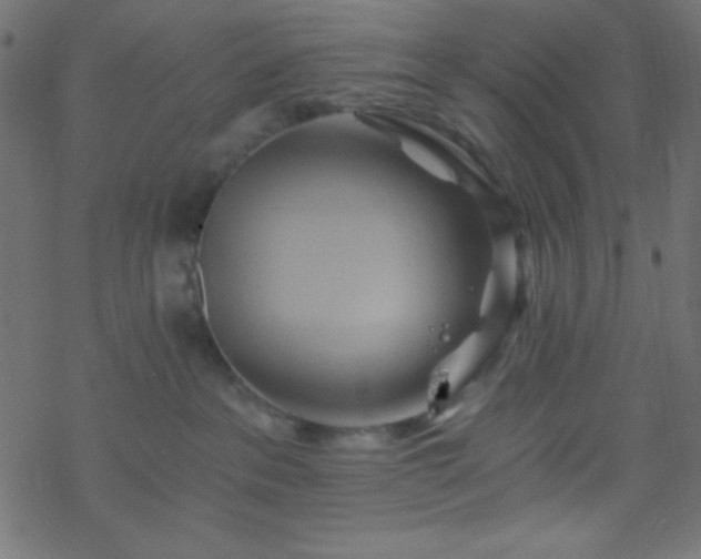 X0000068860237200605121925