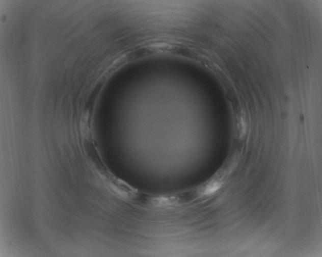 X0000068860239200605121925