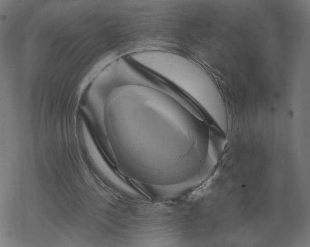 X0000068860244200605121924