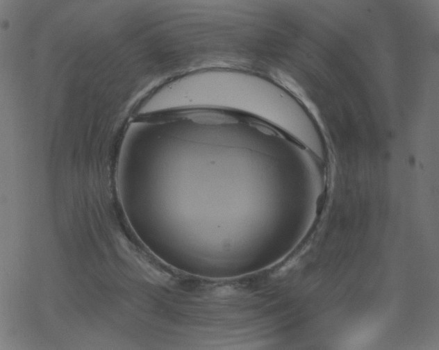X0000068860249200605121924