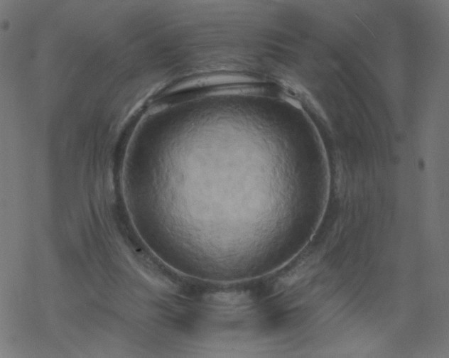 X0000068860251200605121924