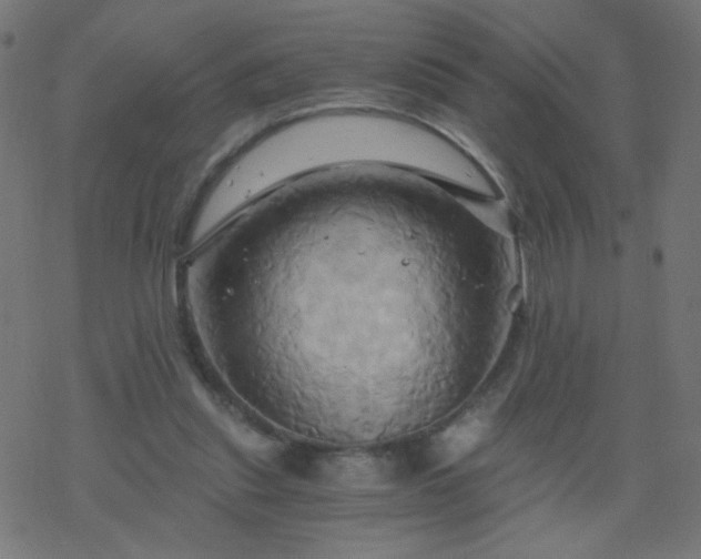 X0000068860253200605121924