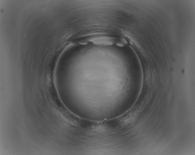 X0000068860259200605121924