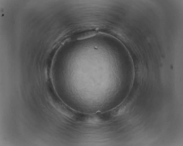 X0000068860262200605121924